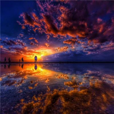 半岛·综合体育APP